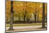 Parc De Bruxelles (Brussels Park) in Autumn (Fall)-Massimo Borchi-Mounted Photographic Print