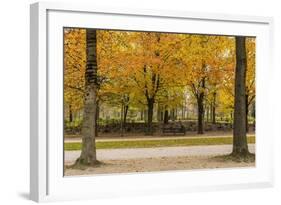 Parc De Bruxelles (Brussels Park) in Autumn (Fall)-Massimo Borchi-Framed Photographic Print
