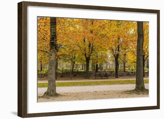 Parc De Bruxelles (Brussels Park) in Autumn (Fall)-Massimo Borchi-Framed Photographic Print