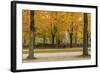 Parc De Bruxelles (Brussels Park) in Autumn (Fall)-Massimo Borchi-Framed Photographic Print