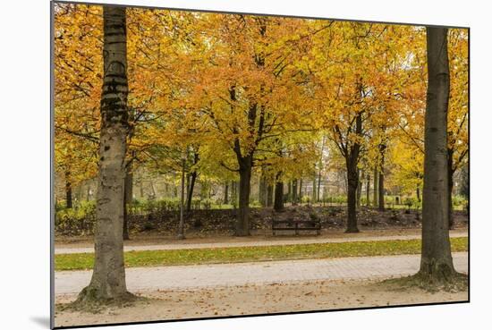 Parc De Bruxelles (Brussels Park) in Autumn (Fall)-Massimo Borchi-Mounted Photographic Print