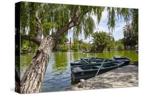 Parc De La Ciutadella, Barcelona, Catalonia, Spain-Mark Mawson-Stretched Canvas