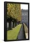 Essential Black