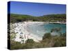 Parc Natural De Mondrago S'Amarador Beach, Mallorca (Majorca), Balearic Islands, Spain, Mediterrane-Stuart Black-Stretched Canvas