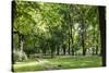 Parc Planty in Krakow, Poland-Jorg Hackemann-Stretched Canvas