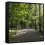 Parc Planty in Krakow, Poland-Jorg Hackemann-Framed Stretched Canvas