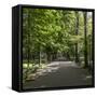 Parc Planty in Krakow, Poland-Jorg Hackemann-Framed Stretched Canvas