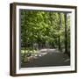 Parc Planty in Krakow, Poland-Jorg Hackemann-Framed Photographic Print