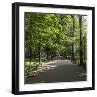 Parc Planty in Krakow, Poland-Jorg Hackemann-Framed Photographic Print