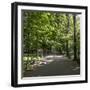 Parc Planty in Krakow, Poland-Jorg Hackemann-Framed Photographic Print