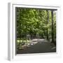 Parc Planty in Krakow, Poland-Jorg Hackemann-Framed Photographic Print