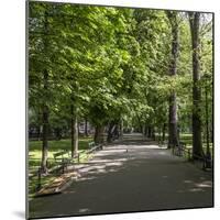 Parc Planty in Krakow, Poland-Jorg Hackemann-Mounted Photographic Print