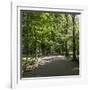 Parc Planty in Krakow, Poland-Jorg Hackemann-Framed Photographic Print