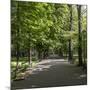 Parc Planty in Krakow, Poland-Jorg Hackemann-Mounted Photographic Print