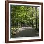 Parc Planty in Krakow, Poland-Jorg Hackemann-Framed Photographic Print