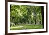 Parc Planty in Krakow, Poland-Jorg Hackemann-Framed Photographic Print