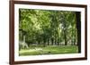 Parc Planty in Krakow, Poland-Jorg Hackemann-Framed Photographic Print