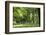 Parc Planty in Krakow, Poland-Jorg Hackemann-Framed Photographic Print