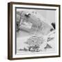 Parcel with Rough Diamonds-Maurice Maurel-Framed Photographic Print
