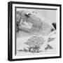 Parcel with Rough Diamonds-Maurice Maurel-Framed Photographic Print