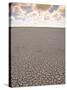 Parched Earth, Etosha National Park, Namibia-Walter Bibikow-Stretched Canvas