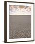 Parched Earth, Etosha National Park, Namibia-Walter Bibikow-Framed Premium Photographic Print