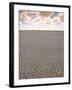 Parched Earth, Etosha National Park, Namibia-Walter Bibikow-Framed Premium Photographic Print