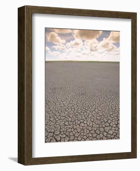 Parched Earth, Etosha National Park, Namibia-Walter Bibikow-Framed Photographic Print