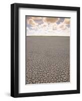 Parched Earth, Etosha National Park, Namibia-Walter Bibikow-Framed Photographic Print