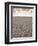 Parched Earth, Etosha National Park, Namibia-Walter Bibikow-Framed Photographic Print