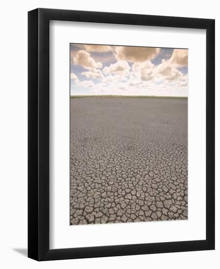 Parched Earth, Etosha National Park, Namibia-Walter Bibikow-Framed Photographic Print