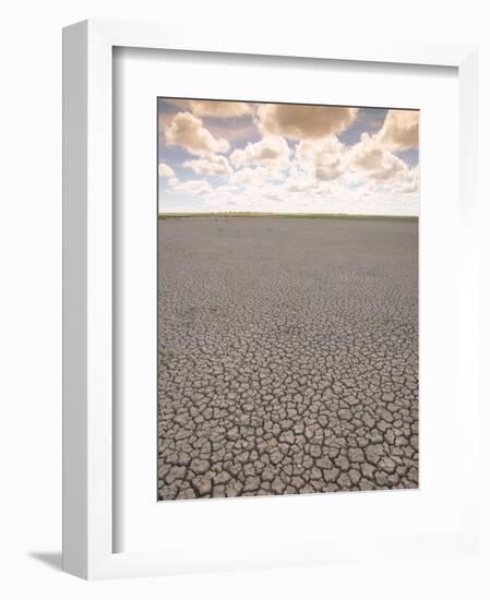 Parched Earth, Etosha National Park, Namibia-Walter Bibikow-Framed Photographic Print