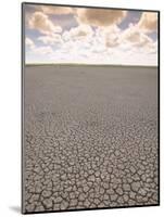 Parched Earth, Etosha National Park, Namibia-Walter Bibikow-Mounted Photographic Print