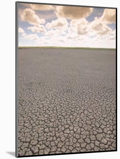 Parched Earth, Etosha National Park, Namibia-Walter Bibikow-Mounted Photographic Print