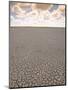 Parched Earth, Etosha National Park, Namibia-Walter Bibikow-Mounted Photographic Print