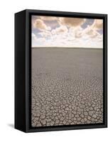 Parched Earth, Etosha National Park, Namibia-Walter Bibikow-Framed Stretched Canvas