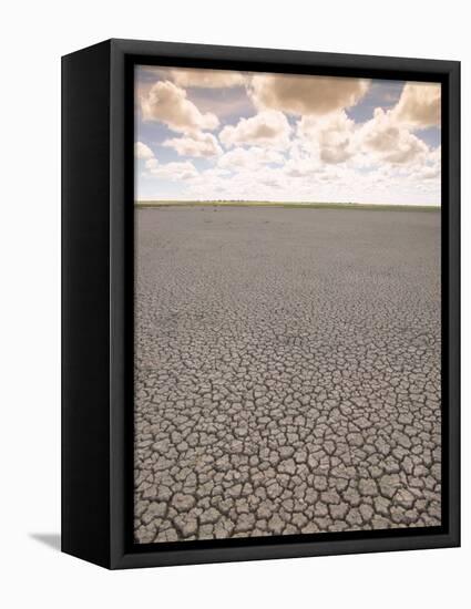 Parched Earth, Etosha National Park, Namibia-Walter Bibikow-Framed Stretched Canvas