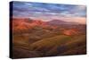 Parched Palette-Mark Geistweite-Stretched Canvas