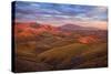 Parched Palette-Mark Geistweite-Stretched Canvas