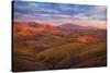 Parched Palette-Mark Geistweite-Stretched Canvas