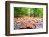 Parchemin-Viviane Fedieu Daniel-Framed Photographic Print