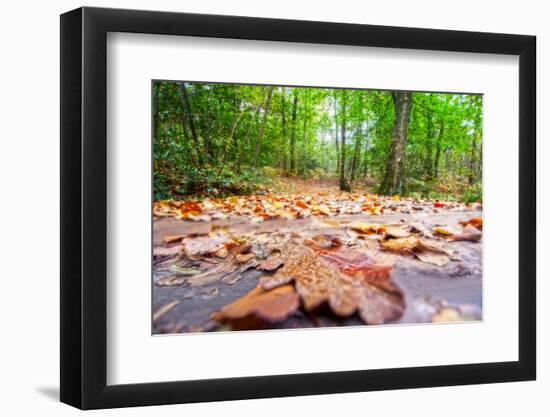 Parchemin-Viviane Fedieu Daniel-Framed Photographic Print