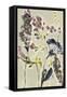 Parchment Flower Field I-Jennifer Goldberger-Framed Stretched Canvas