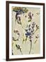 Parchment Flower Field II-Jennifer Goldberger-Framed Art Print