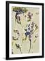 Parchment Flower Field II-Jennifer Goldberger-Framed Art Print