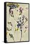 Parchment Flower Field II-Jennifer Goldberger-Framed Stretched Canvas