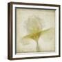 Parchment Flowers IX-Judy Stalus-Framed Art Print