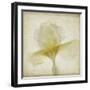 Parchment Flowers IX-Judy Stalus-Framed Art Print