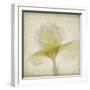 Parchment Flowers IX-Judy Stalus-Framed Art Print
