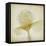 Parchment Flowers IX-Judy Stalus-Framed Stretched Canvas